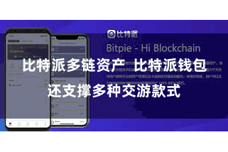 比特派多链资产 比特派钱包还支撑多种交游款式