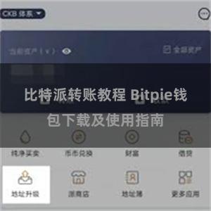 比特派转账教程 Bitpie钱包下载及使用指南