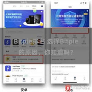 Bitpie排名 选择Bitpie的原因，你知道吗？