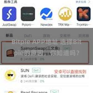 Bitpie APP地址 选择Bitpie的原因，你知道吗？