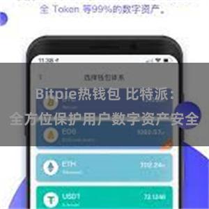 Bitpie热钱包 比特派：全方位保护用户数字资产安全