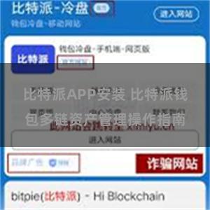 比特派APP安装 比特派钱包多链资产管理操作指南