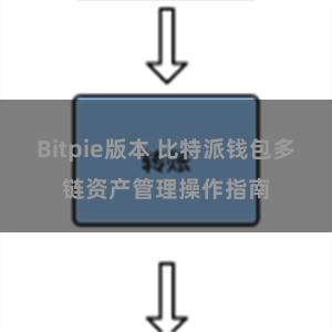 Bitpie版本 比特派钱包多链资产管理操作指南