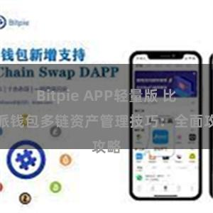 Bitpie APP轻量版 比特派钱包多链资产管理技巧：全面攻略