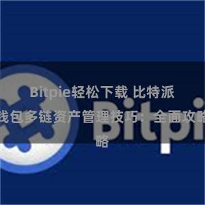 Bitpie轻松下载 比特派钱包多链资产管理技巧：全面攻略