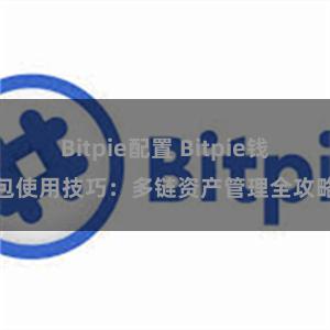 Bitpie配置 Bitpie钱包使用技巧：多链资产管理全攻略