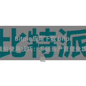 Bitpie应用下载 Bitpie钱包使用技巧：多链资产管理全攻略