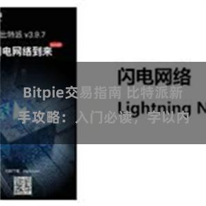 Bitpie交易指南 比特派新手攻略：入门必读，字以内
