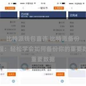 比特派钱包直连 比特派备份教程：轻松学会如何备份你的重要数据