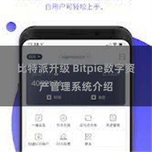 比特派升级 Bitpie数字资产管理系统介绍