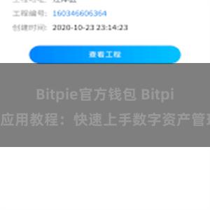 Bitpie官方钱包 Bitpie应用教程：快速上手数字资产管理