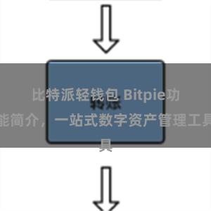 比特派轻钱包 Bitpie功能简介，一站式数字资产管理工具