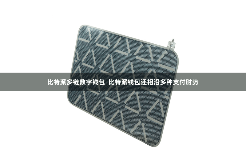 比特派多链数字钱包  比特派钱包还相沿多种支付时势