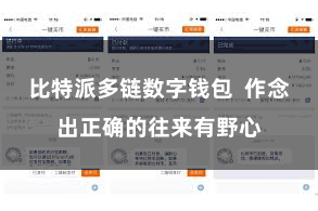 比特派多链数字钱包  作念出正确的往来有野心