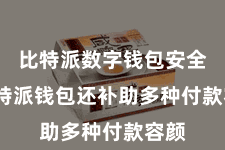 比特派数字钱包安全  比特派钱包还补助多种付款容颜