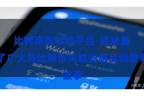 比特派数字链平台  还涵盖了广大与比特币关联的居品和做事