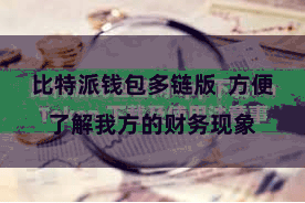 比特派钱包多链版  方便了解我方的财务现象