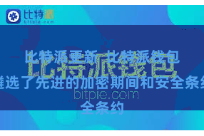 比特派更新  比特派钱包遴选了先进的加密期间和安全条约