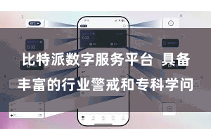 比特派数字服务平台  具备丰富的行业警戒和专科学问
