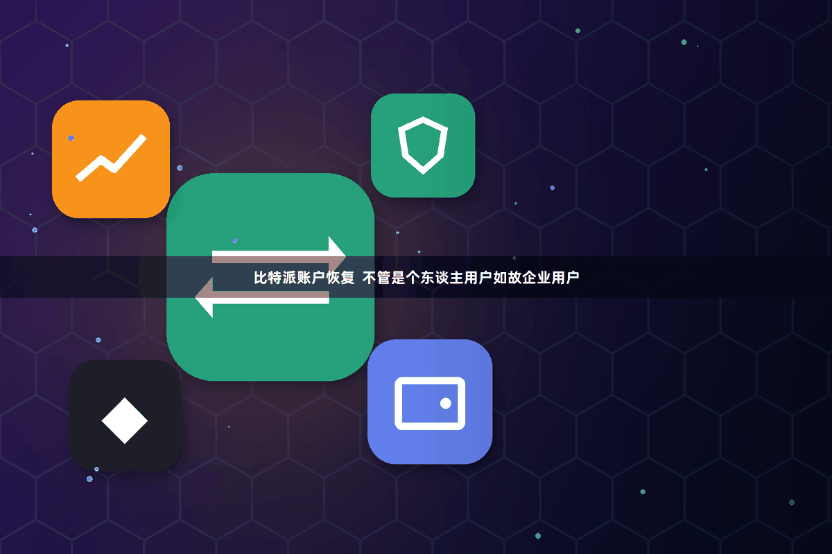 比特派账户恢复  不管是个东谈主用户如故企业用户